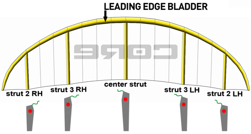 Bladders